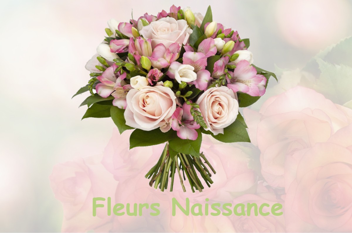 fleurs naissance NEUILLY-LES-DIJON